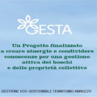 Progetto GESTA